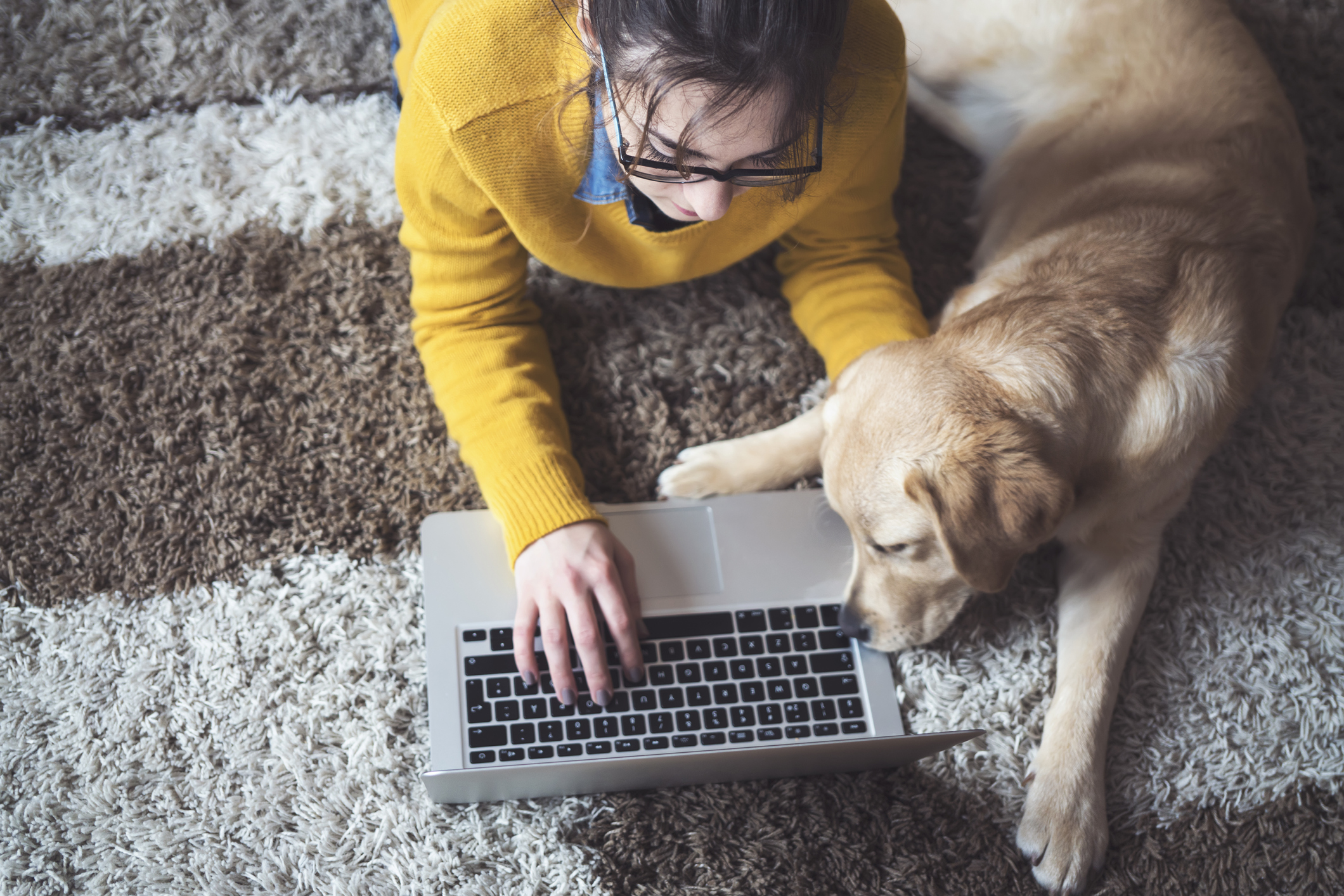年轻的女性在家与朋友聊天，正在使用一台笔记本电脑，狗在身边